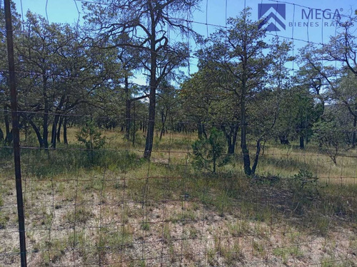 Terreno En Venta En Desarrollo Ecoturisco La Muralla Durango