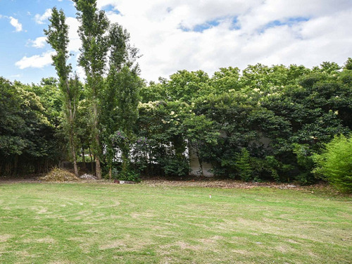 Imagen 5 de 6 de Local En Venta En Colonia Ref. 6461 (ref: Cbr-939)