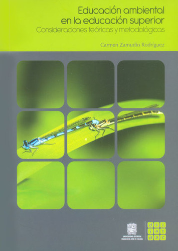 Educación Ambiental En La Educación Superior. Consideraciones Teóricas Y Metodológicas, De Carmen Zamudio Rodríguez. Editorial U. Distrital Francisco José De C, Tapa Blanda, Edición 2015 En Español