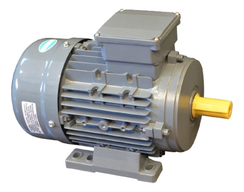 Motor Trifàsico Czerweny 1.5 Hp 1500 Rpm Blindado - Contado