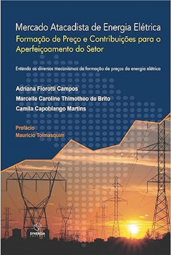 Mercado Atacadista De Energia Eletrica: Formação De Preço E Contribuições Para O Aperfeiçoamento Do Setor, De Adriana Fiorotti., Vol. 1. Editorial Synergia, Capa Mole Em Português