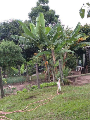 Imagem 26 de 30 de Chácara Com 2 Dormitórios À Venda, 2000 M² Por R$ 350.000 - Planalto Da Serra Verde - Itirapina/sp - Ch0024