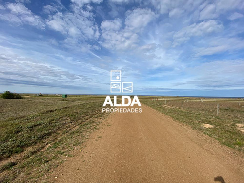 Imagen 3 de 10 de Terreno Punta Negra Maldonado Venta Te501185