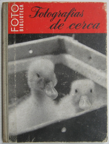 Fotografias De Cerca Foto Biblioteca