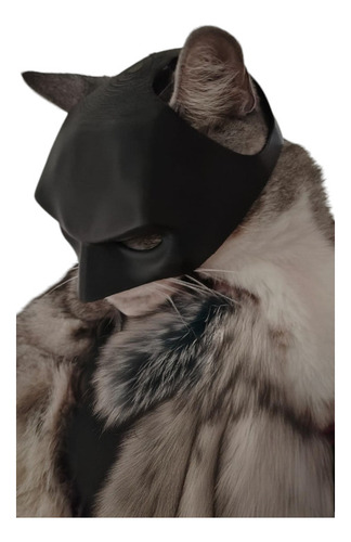 * Mascara Gato Batman Casco Máscara