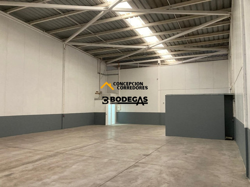 Arriendo Bodega C/of De 234 M2 En Ruta Los Libertadores.