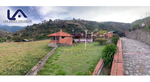 Imagen 3 de 28 de Finca Mérida