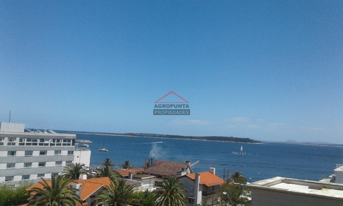 Apartamento En Peninsula, 3 Dormitorios *- Ref: 4768