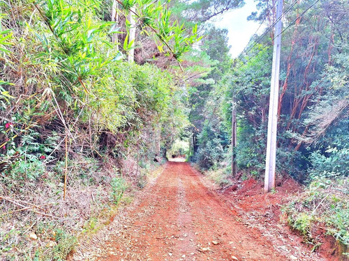 Altos De Punucapa Sector Chabelita, Oportunidad