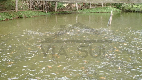 Imagem 9 de 30 de Sítio À Venda Em Juquitiba, Com Estrutura Reversível Para Pesqueiro. - 106 - 34341139