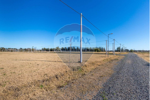 Imagen 7 de 13 de Lote En Venta Barrio Don Basilio La Plata Gorina
