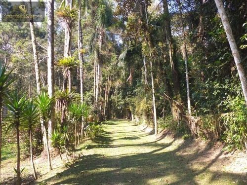 Imagem 8 de 30 de Sítio Em Quatinga - Mogi Das Cruzes -sp