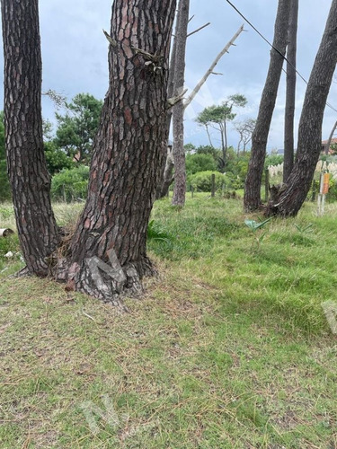 Imagen 4 de 5 de Terreno En Montoya - La Barra Montoya