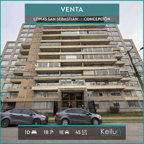 Departamento En Venta 1d | 1b | 1e En Lomas San Sebastian