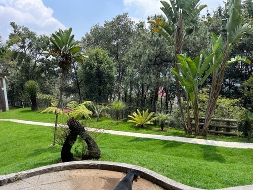 Imagen 28 de 30 de En Venta Espectacular Casa En Tlalpuente, Tlalpan