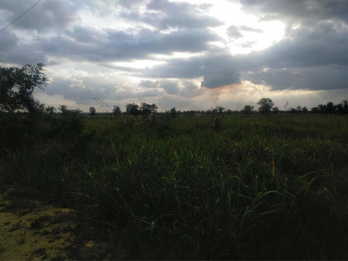 Vendo Esta Finca De 46 Tareas En Guerra Santo Domingos Este