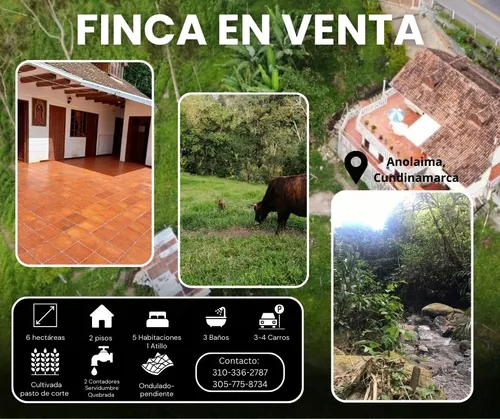 Finca Ganadera Cachipay Cundinamarca