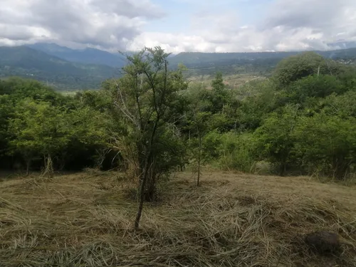 Lote En La Mesa, San Joaquín, Vereda Baltimore