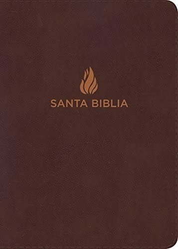 Libro: Rvr 1960 Biblia Letra Grande Tamaño Manual Marrón,