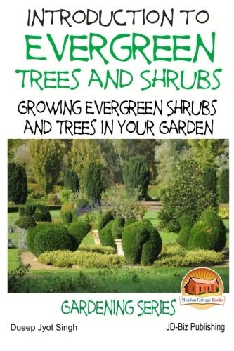 Introduction To Evergreen Trees And Shrubs  Growing Evergree