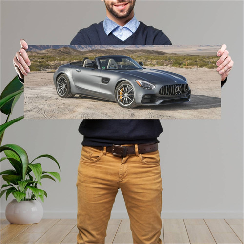 Cuadro 30x80cm Auto 2017 Mercedes Amg Gt C Roads 804