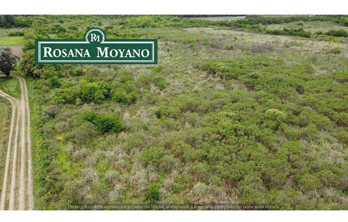 Imagen 2 de 9 de Venta - Increíble Oportunidad - Campo - 10 Ha - Escobar