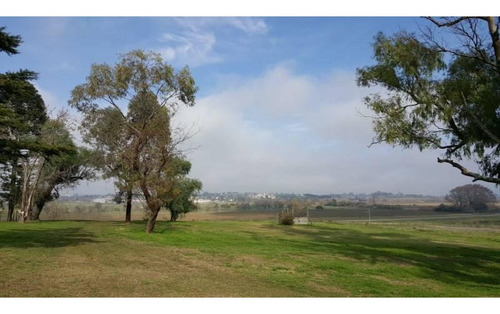 Imagen 2 de 30 de Campo De 59 Has Sobre Ruta, Con Casco, Casa De Invitados, Galpones Y Dependencias