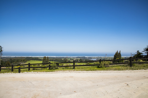 Reserva Natural En Punta De Lobos