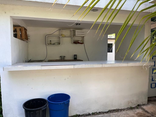 Casa En Renta Con Extenso Terreno Ideal Para Negocio Con Amplia Palapa