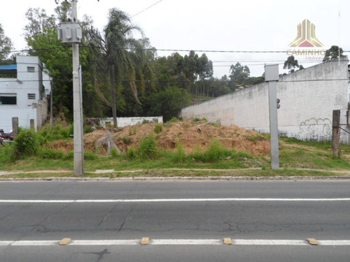 Imagem 11 de 12 de Terreno Residencial À Venda, Agronomia, Porto Alegre. - Te0069