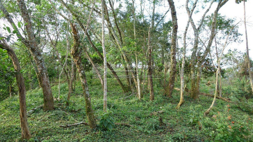 Imagem 8 de 9 de Terreno - Santa Barbara - Ref: 129 - V-1283
