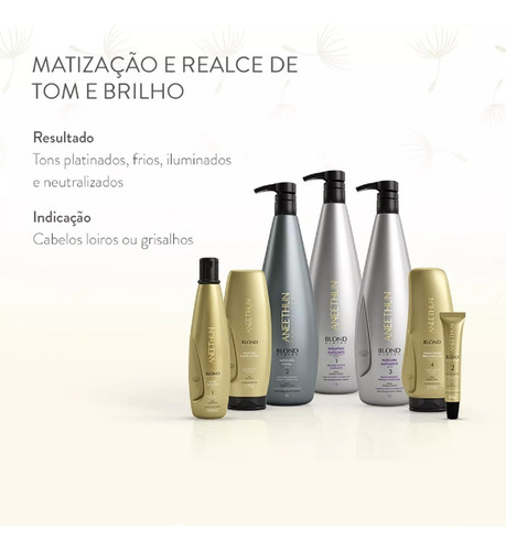Kit Aneethun Blond System 3 Produtos + Escova Brinde