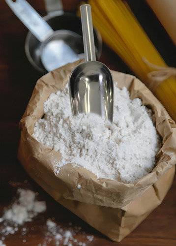 Concha Pegador Multiuso Inox Cereais Gelo Grande Grãos Ração