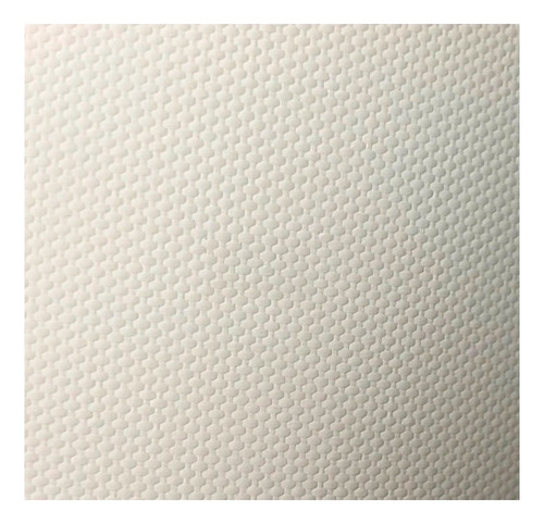 Polyester Canvas | Matte | Impresión Láser E Inkjet | A4