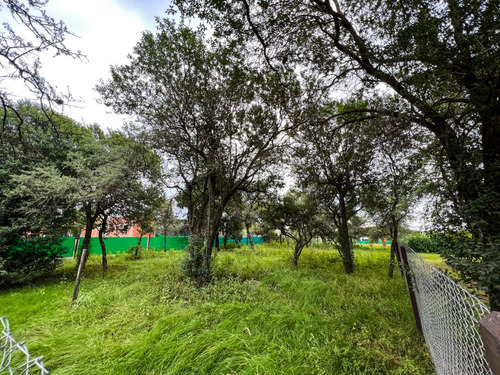 Terreno En Venta Villa Catalina Altos