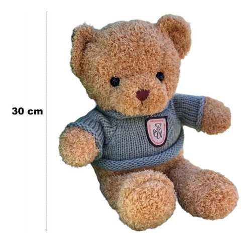 Osito Oso De Peluche Con Grabador De Voz Música Usb 16 Mb | Envío gratis Osito Oso De Peluche Con Grabador De Voz Música Usb 16 Mb | Envío gratis