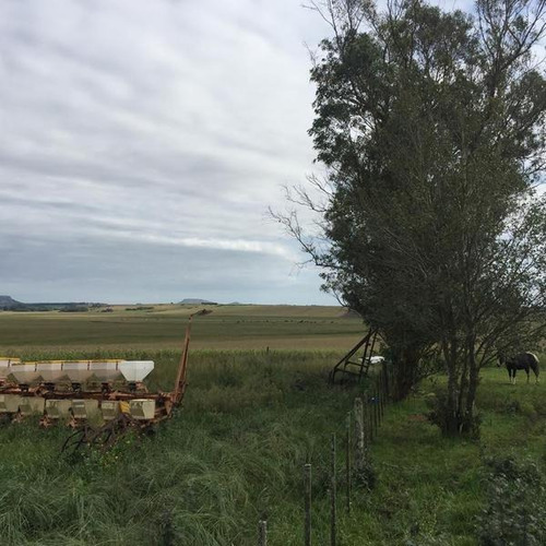 Imagen 11 de 15 de Campo - Balcarce
