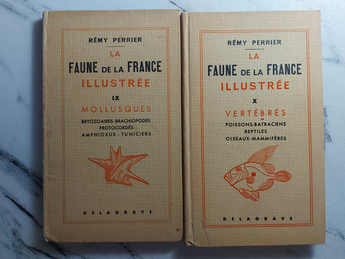 La Faune De La France Illustrée. Rémy Perrier. Ian1037