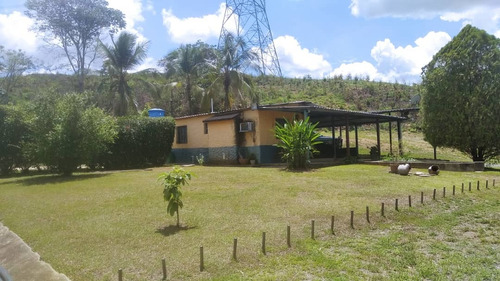 Venta De Finca Agrícola En Tocuyito, Carabobo