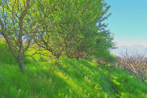 Terrenos Con Espectaculares Vistas En Rauten (118383)
