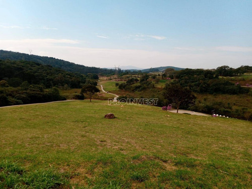 Imagem 3 de 14 de Terreno Com Vista Para O Campo De Golf Do Vila Da Mata - Vila Darcy Penteado, (são Roque) - Te8992