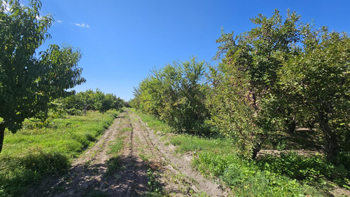 Finca De 3.7 Ha En Producción