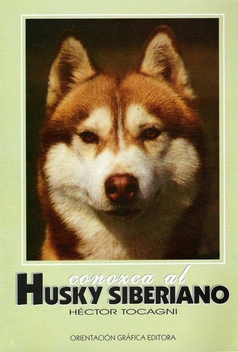 Tocagni: Conozca Al Husky Siberiano