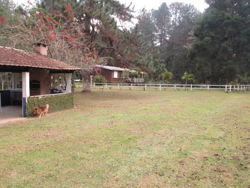 Imagem 4 de 14 de Belissimo Sitio Com Lindo Riacho E Lago, Plano