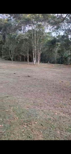 Vendo Um Sítio De 49.000 Metros Com Represa Dentro