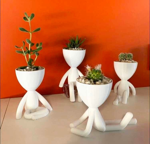 Imagen 8 de 11 de Robert Plant Para Suculentas , Diseños Decorativos