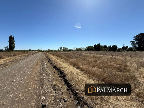 Parcelas En Venta 5000m2 Camino A Cato Chillán