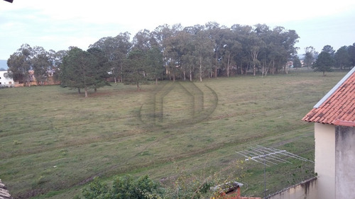 Imagem 27 de 27 de Casa - Ca00776 - 67720491
