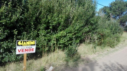 Imagen 3 de 8 de Terreno En Venta En Las Gaviotas