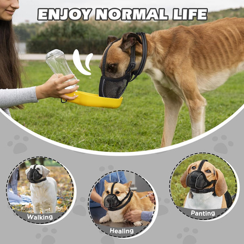E Focinho Cachorro, Focinho Malha Macia Para Cães Pequenos